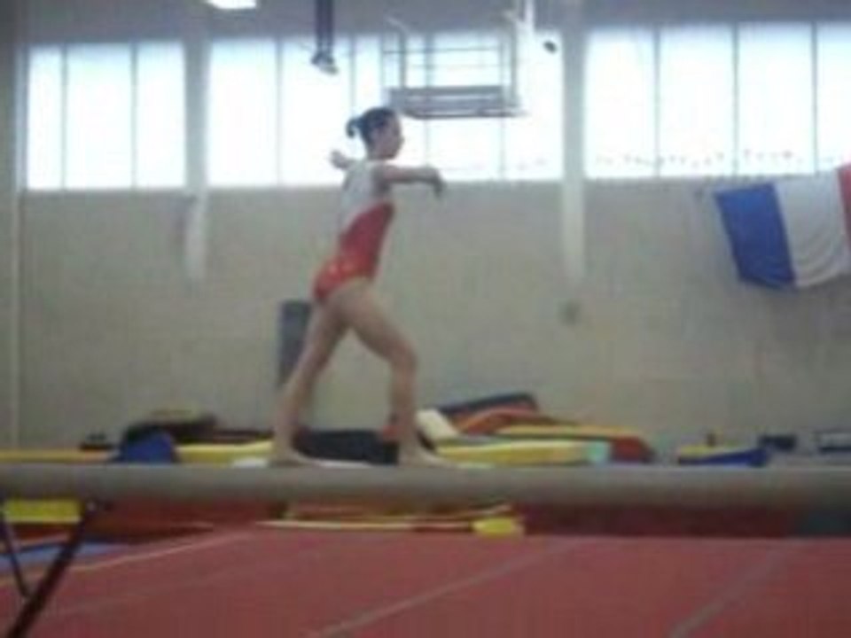 Poutre à Avoine le 25.01.09