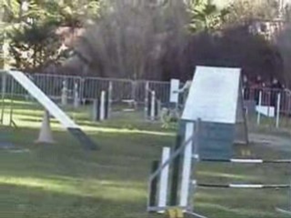 ANGOON-2EME DEGRES-OLLIOULES-25-01-09