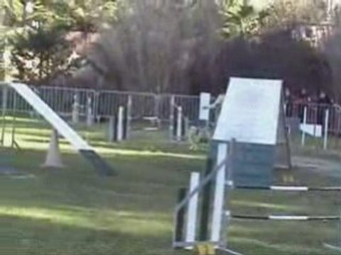 ANGOON-2EME DEGRES-OLLIOULES-25-01-09