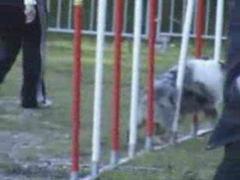 BAXTER-OPEN-OLLIOULES-25-01-09