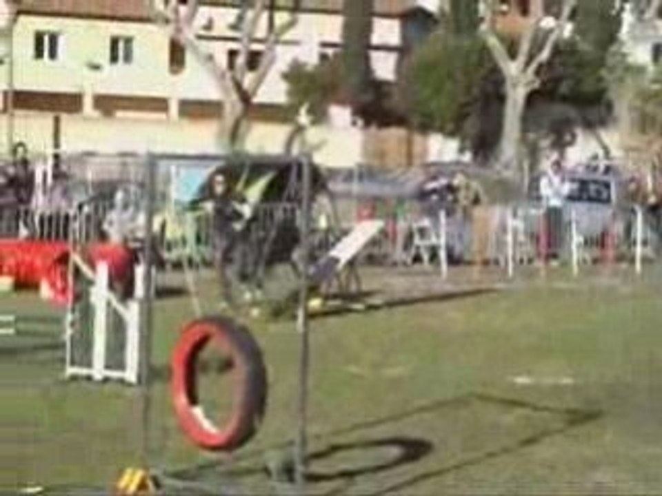 TZAR-GPF-OLLIOULES-25-01-09