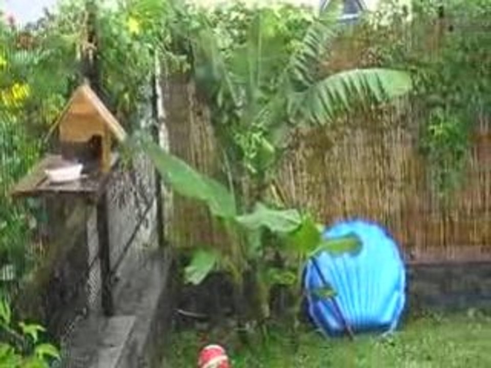 MOV01F