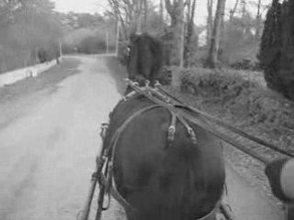 Ballade du 30 janvier