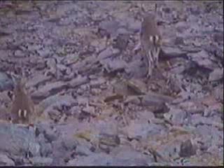 En la laguna de Lanjarón