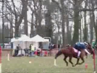 2 drapeaux Audrey Java