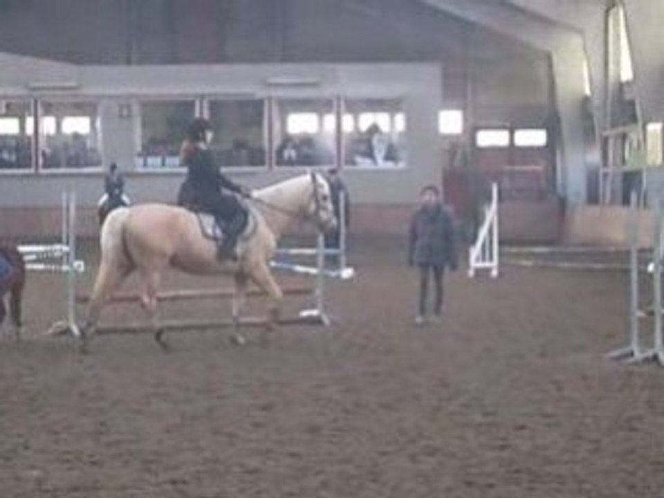 Mon parcours avec Polo =)