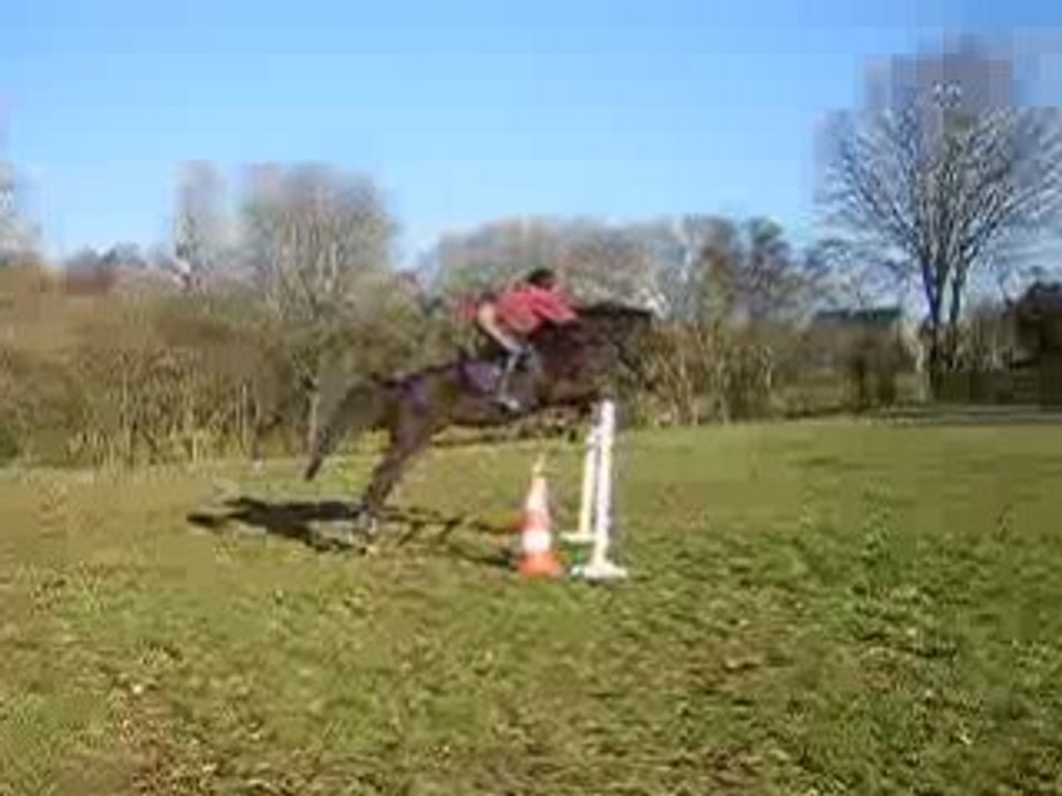 Plouf méga saut oxer presque 1 mètre