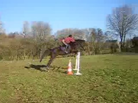 Plouf méga saut oxer presque 1 mètre