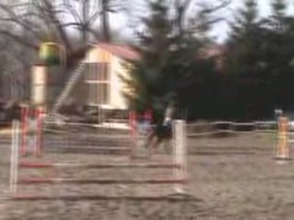 Concours Club 2 Cso Orion