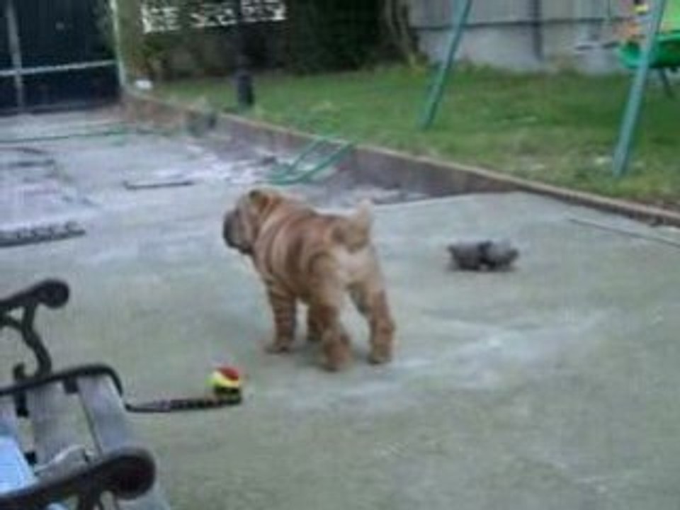 bouboule2