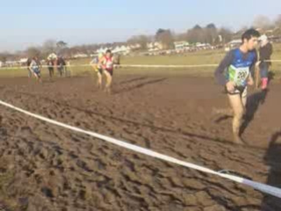Cross Brec'h