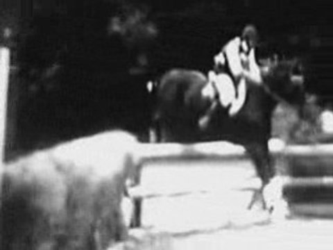 concours complet d'équitation