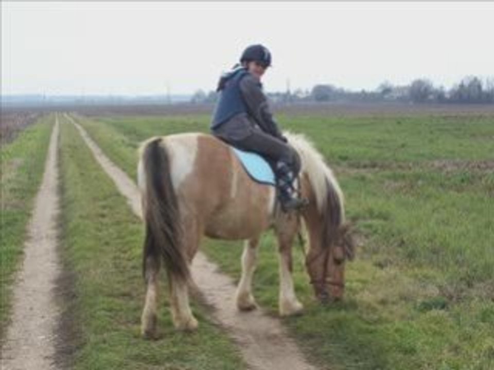 31 Janvier 2009 avec Upie