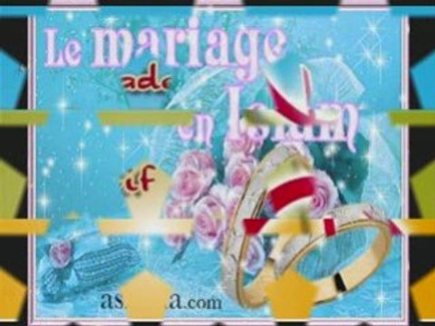 REGADDA ETE 2008 DLA BOMBE!