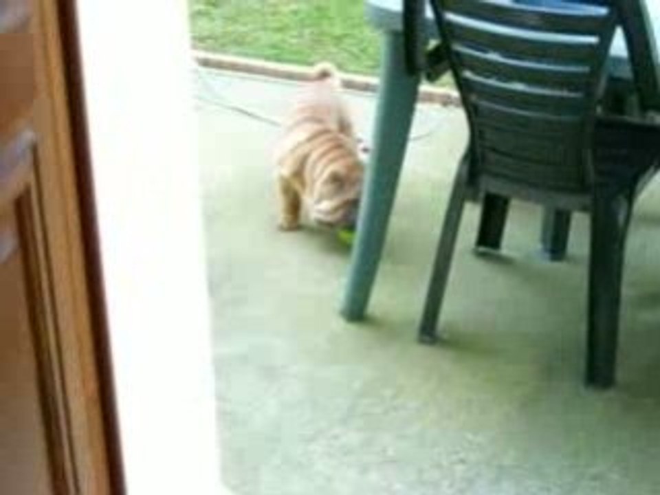 bouboule3