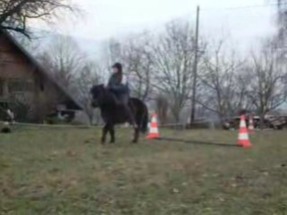 Saut amazone