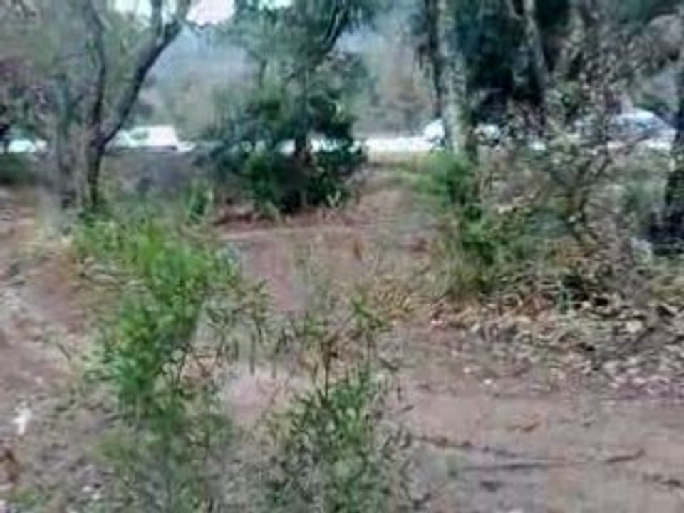 cross adret