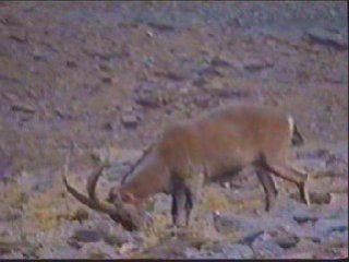 Desde el nacimiento del Río Lanjarón 3