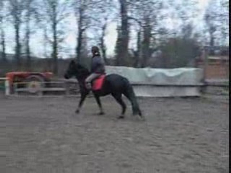 Tiina & Moii