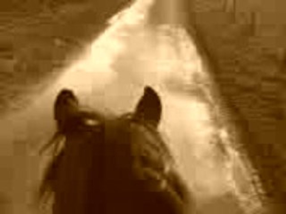 MOV01700