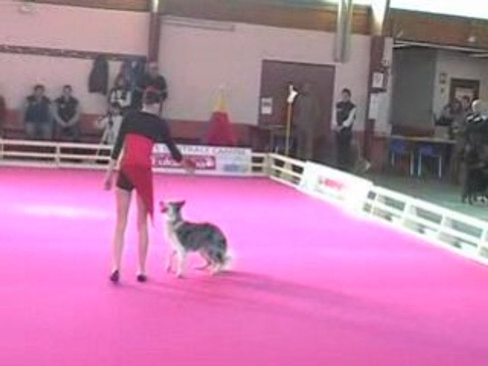 GPF 2008 obérytmée arteis passage 1