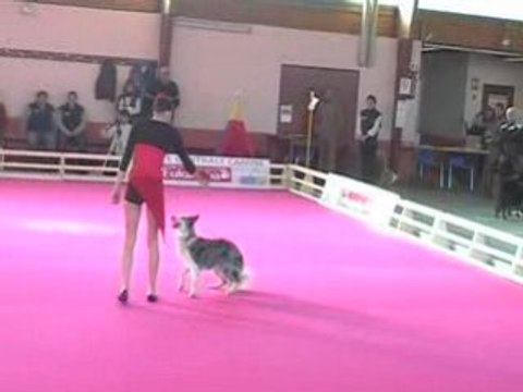 GPF 2008 obérytmée arteis passage 1