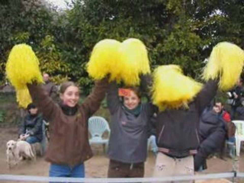 Pony-games des poneys d'ARIA