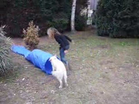 première séance d'agility avec Mayka !