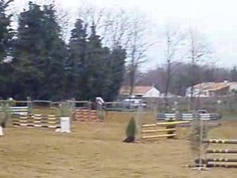 concours saut d'obstacle