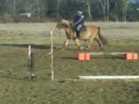 Pilou dl et sans pédales