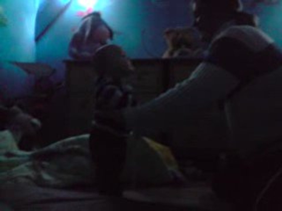 V010209_17.29