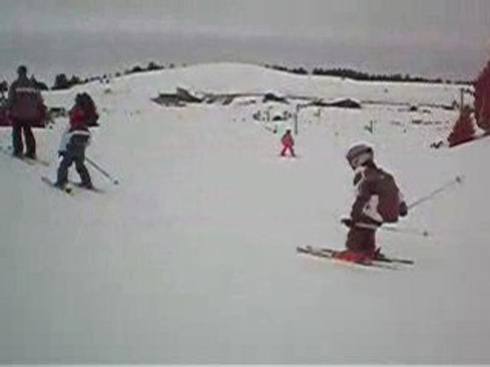 ski
