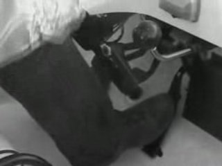 Sunflowers - Seeds of love