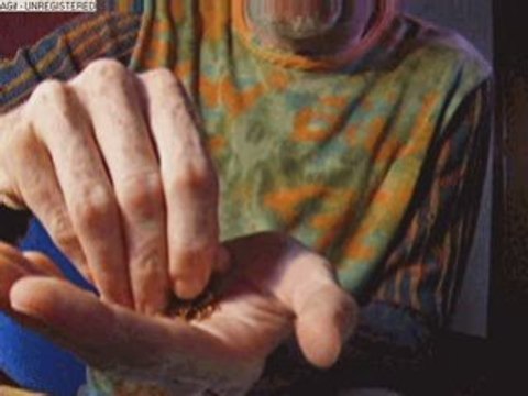 gitan voila lesdrogue mdr