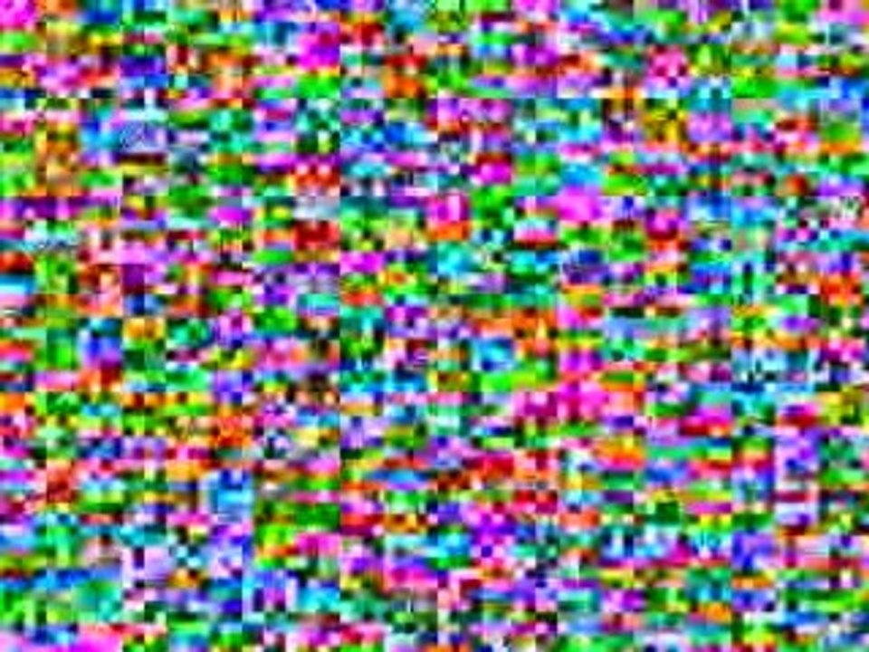 Tampa Bay Home Based Business Carbon Copy Pro Maxous