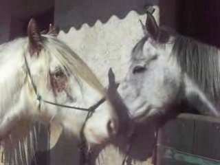 Grand moment de tendresse