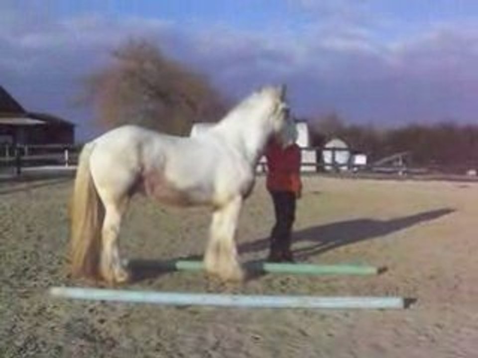 détente après cours ethologie