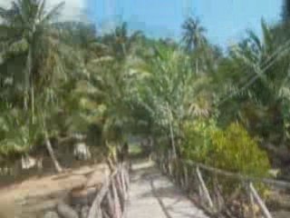 Thailande (9/10) snorkelling à ko chang