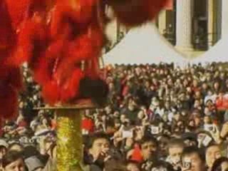 Chinese New Year: The Year of the Ox