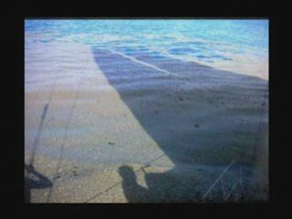 Deux reportages étonnants