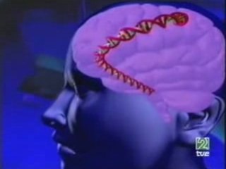 Esquizofrenia: Hipotesis genetica