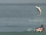 Show di uno squalo tra i surfisti