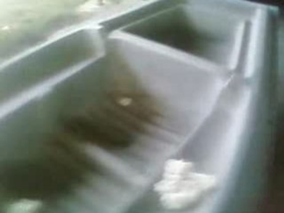 Mouse poliretane mise