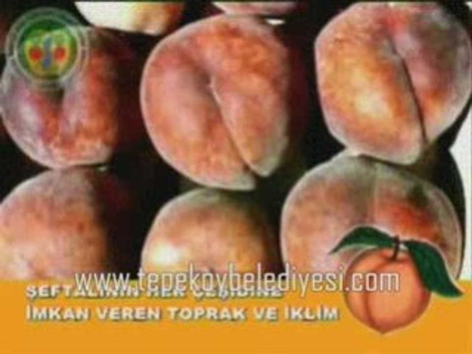 Video1kısım2