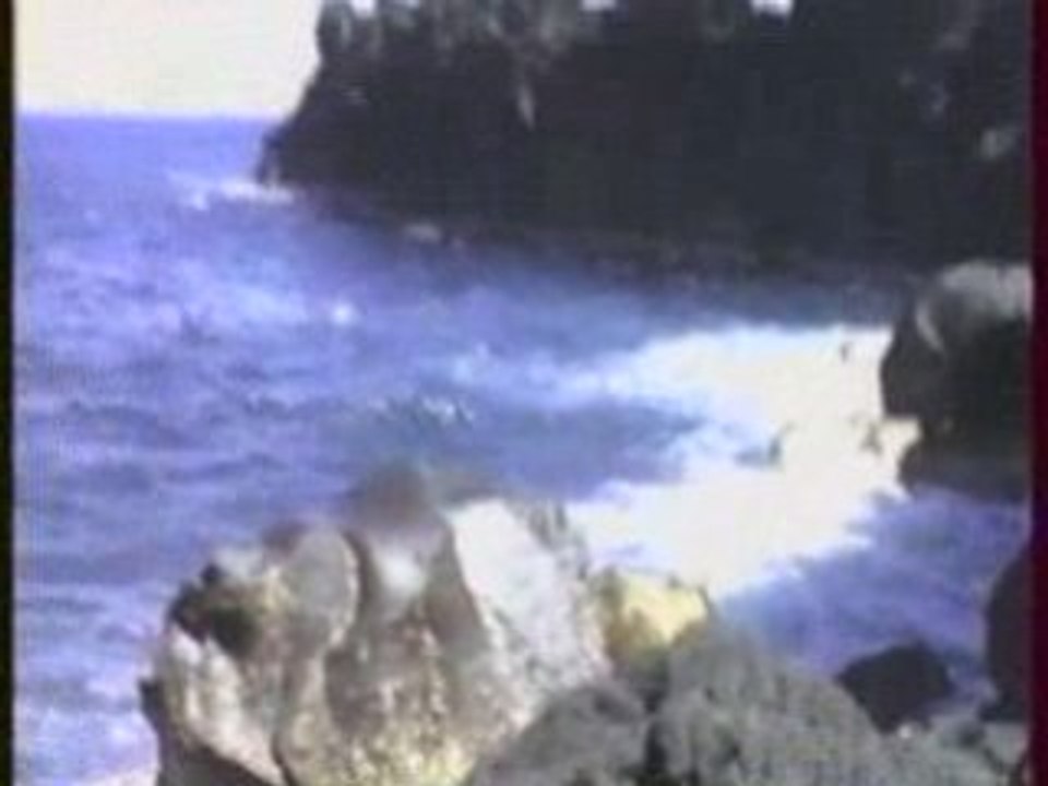 2001.03 La réunion 2/3