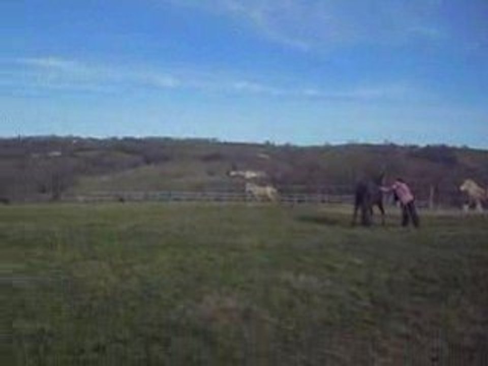 2009 018