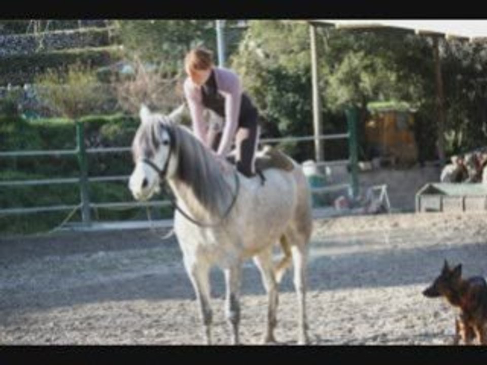 Dressage à cru
