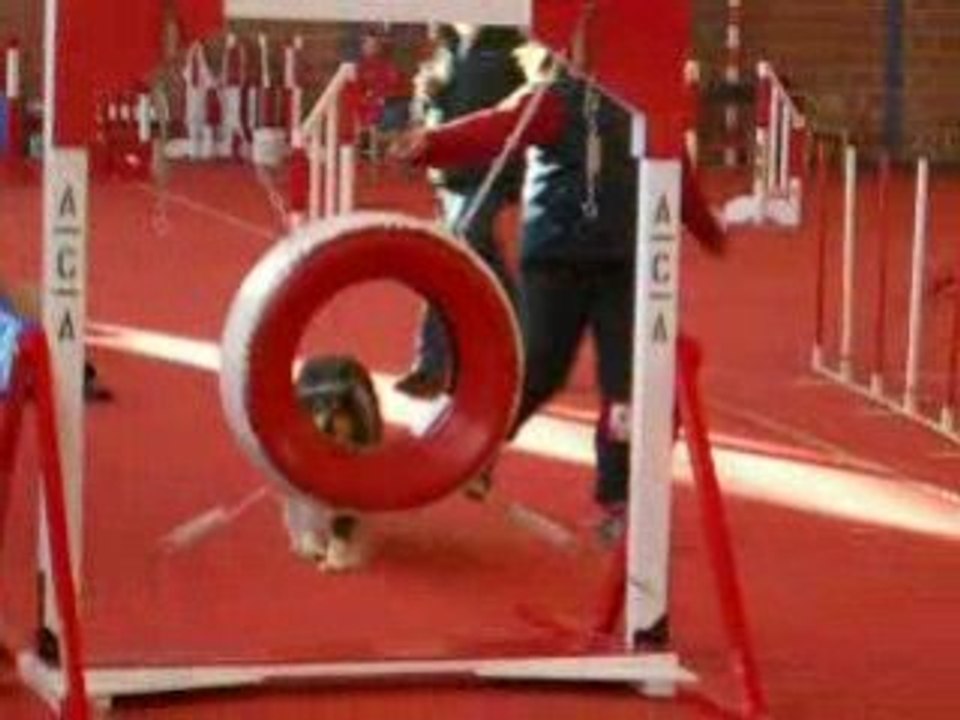 agility Umi aire sur la lys open