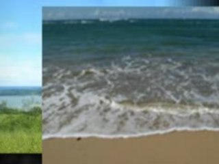 Dominican Republic Land