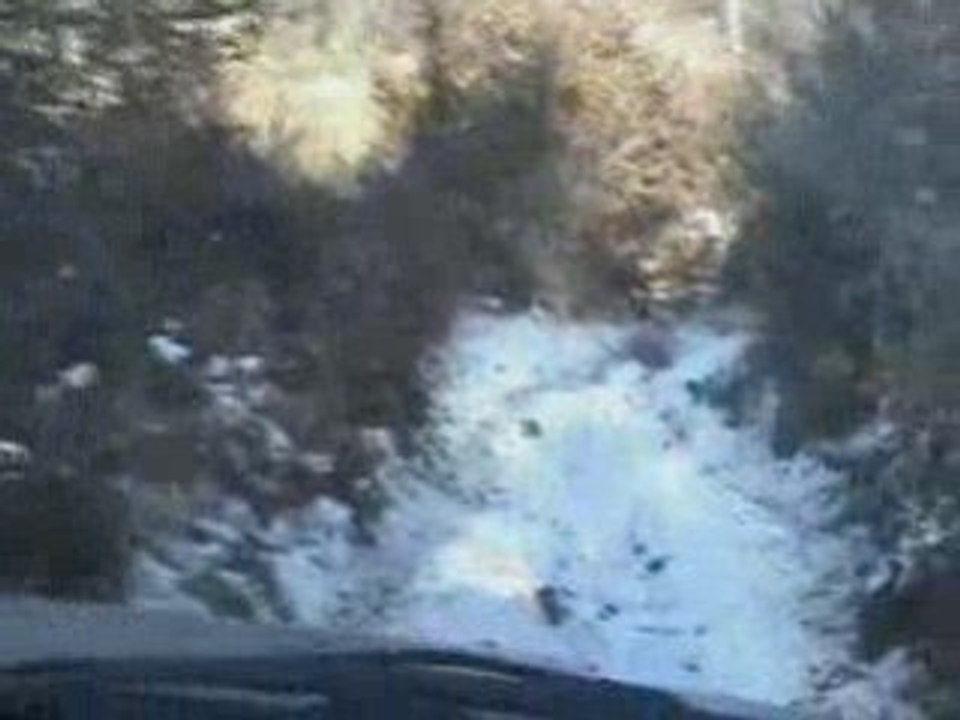 Au mileu des bois et sous la neige